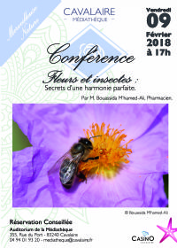 Conférence : Fleurs et insectes, secrets d'une harmonie parfaite. Le vendredi 9 février 2018 à cavalaire sur mer. Var.  17H00